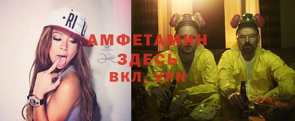 индика Балабаново