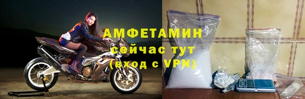 индика Балабаново