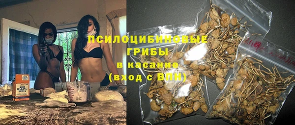 дживик Балахна