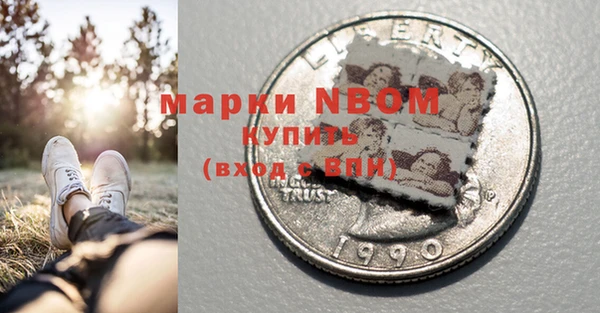 индика Балабаново