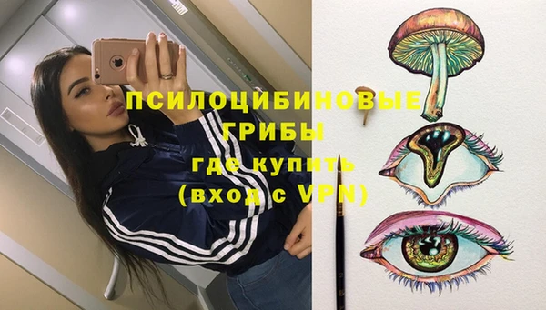 индика Балабаново
