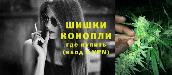 индика Балабаново