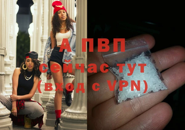 индика Балабаново