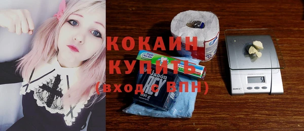 дживик Балахна