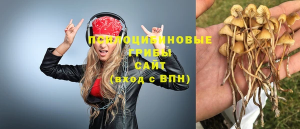 винт Баксан
