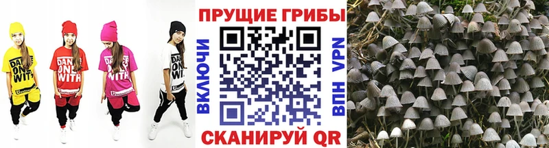 мега вход  Северо-Курильск  Псилоцибиновые грибы Magic Shrooms 